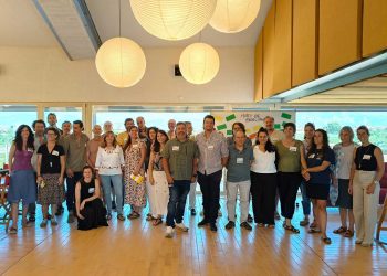 facilitar un think tank en mallorca